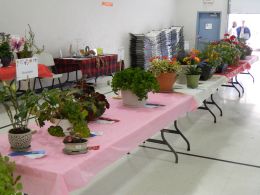 Hill City Evergreen Garden Club